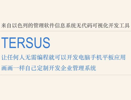 畫畫一樣開(kāi)發(fā)軟件 Tersus讓任何人可以無(wú)代碼開(kāi)發(fā)手機(jī)電腦軟件